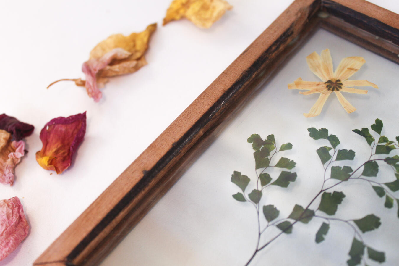 Product - Pressed Flowers