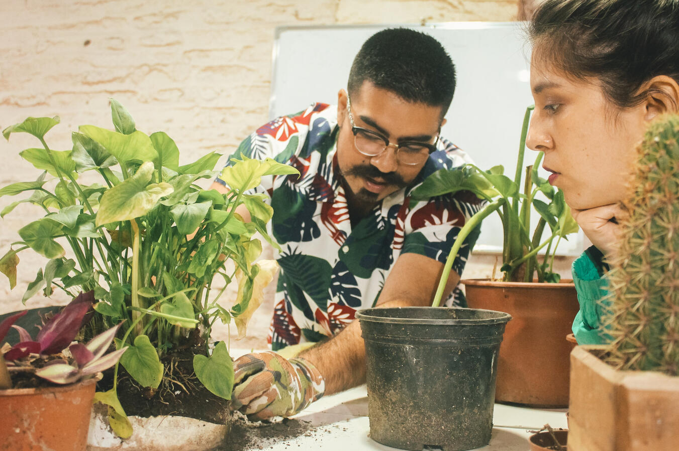 Home Plants Care Workshop